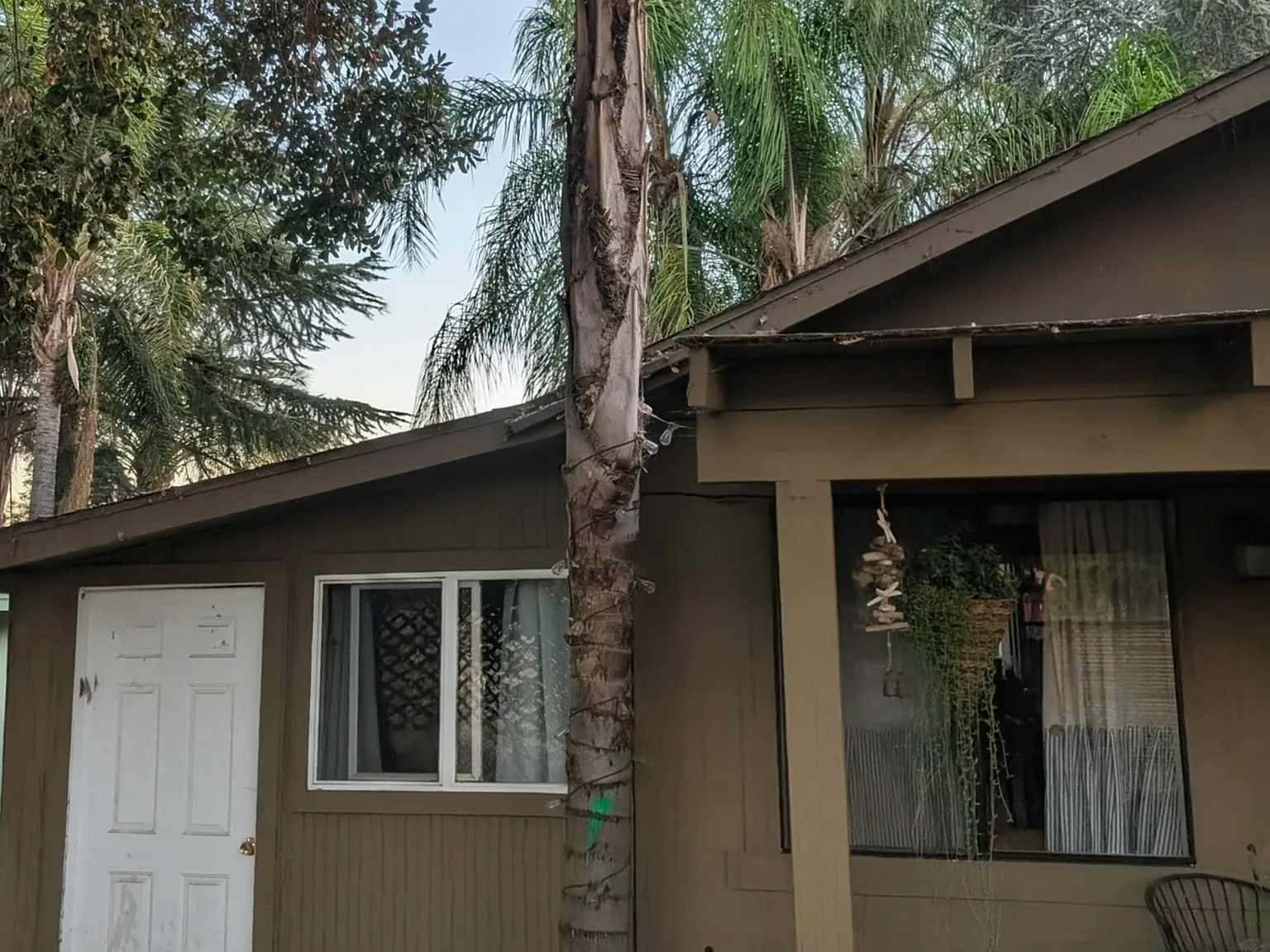 Godfrey Ave, Gilroy — Photo 3