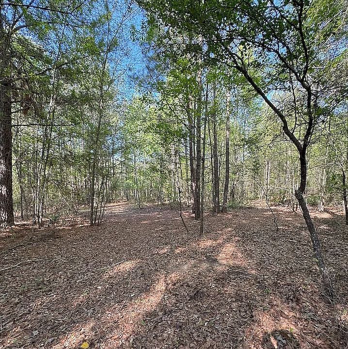 2nd image of 0 Middleground Rd