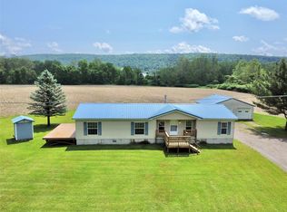1564 Park Settlement Rd, Owego, NY 13827