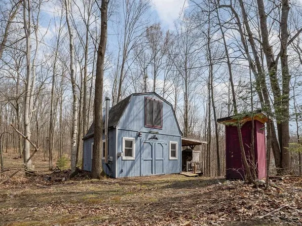 Sunrise Lake Rd #14679, Leroy, MI 49655