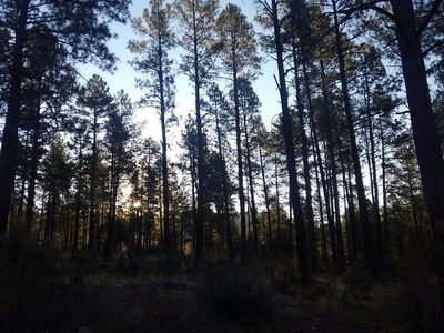 20513338C E Eureka Ln, Prescott, AZ, 86303