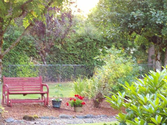 Sitting area in back yard