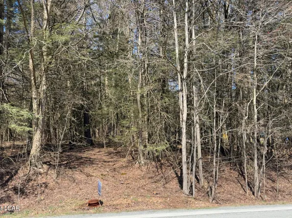 Millcreek Rd, Newfoundland, PA 18445