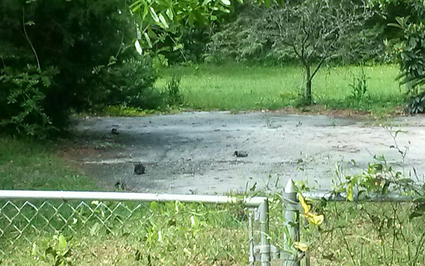 1st image of 95109 Fletcher Rd