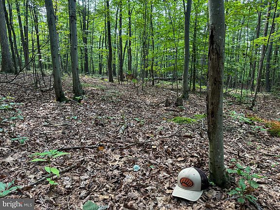 4th image of 0 Mahanoy Valley Rd Lot 1