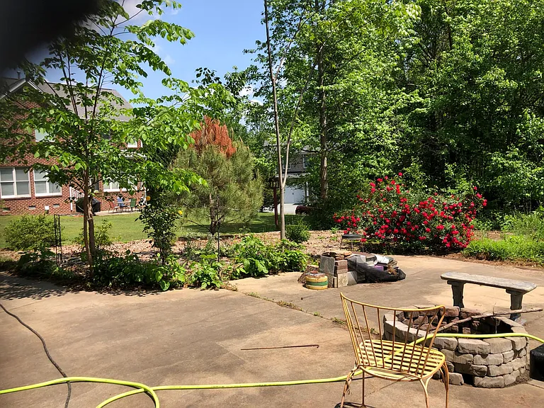 Patio area behind house.
