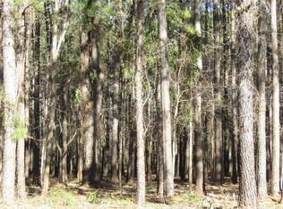 199 Persimmon Rd, Carolina Shor, NC 28467