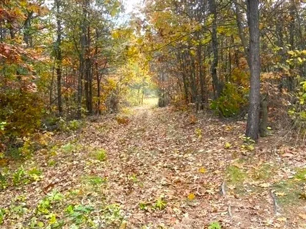58.87 acres Nash Road, Black River Falls, WI 54615