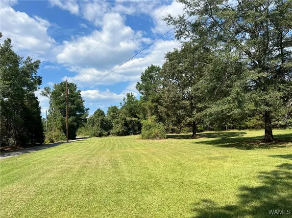 0 County Road 15, Bankston, AL 35542