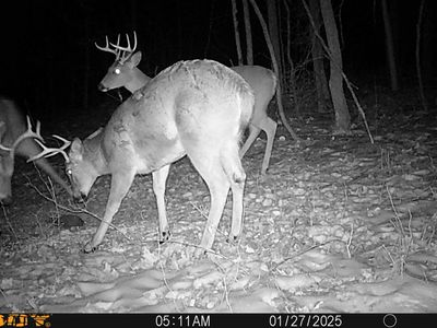 0 Shannon Rd, Frazeysburg, OH, 43822