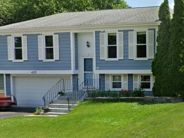 425 Norman Ln, Roselle, IL 60172