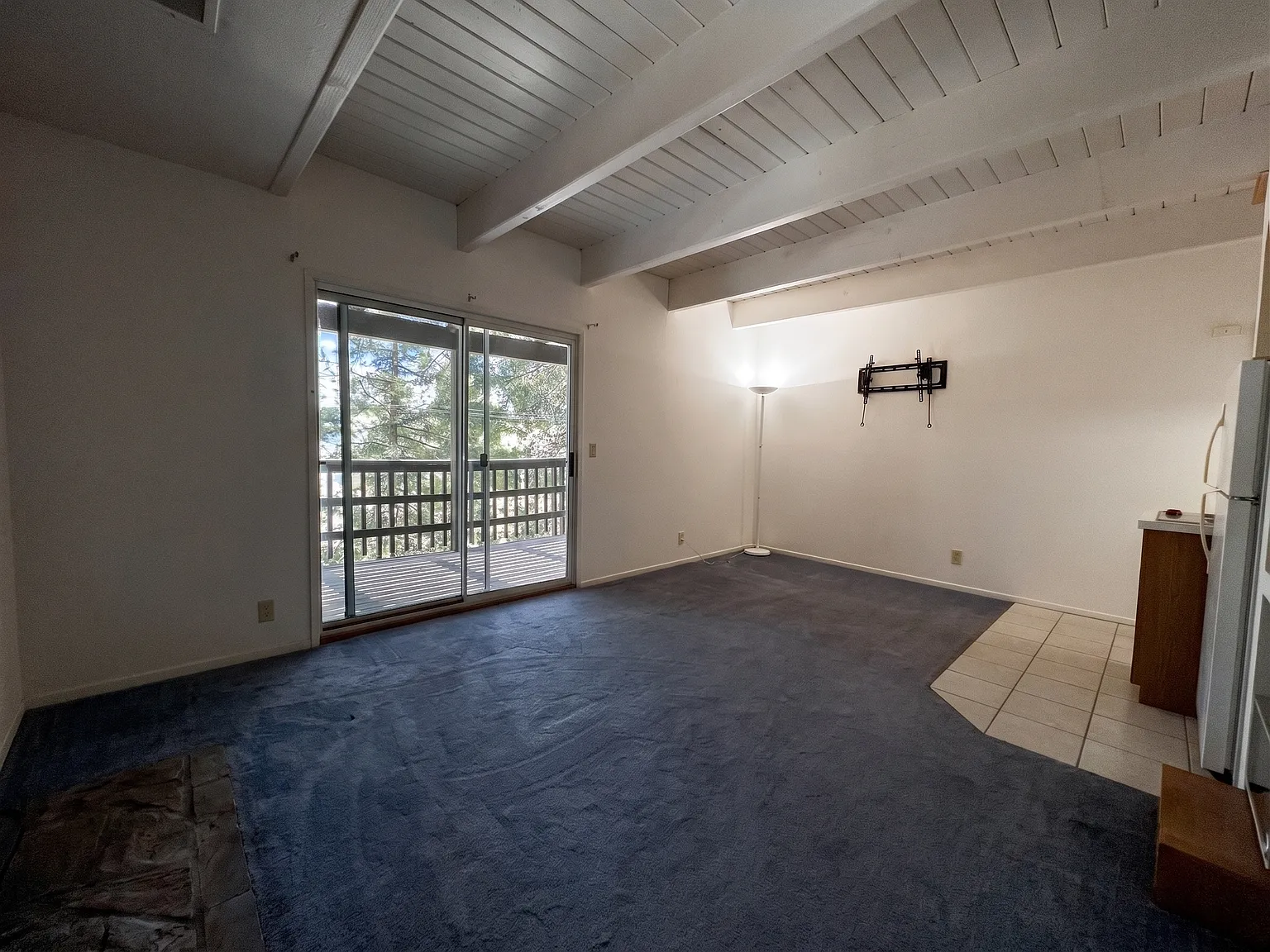 1 bed, 480 sqft, $1,095 — Photo 4