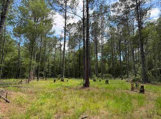 17.8 Acres-5871 Pennyroyal Rd., Georgetown, SC 29440