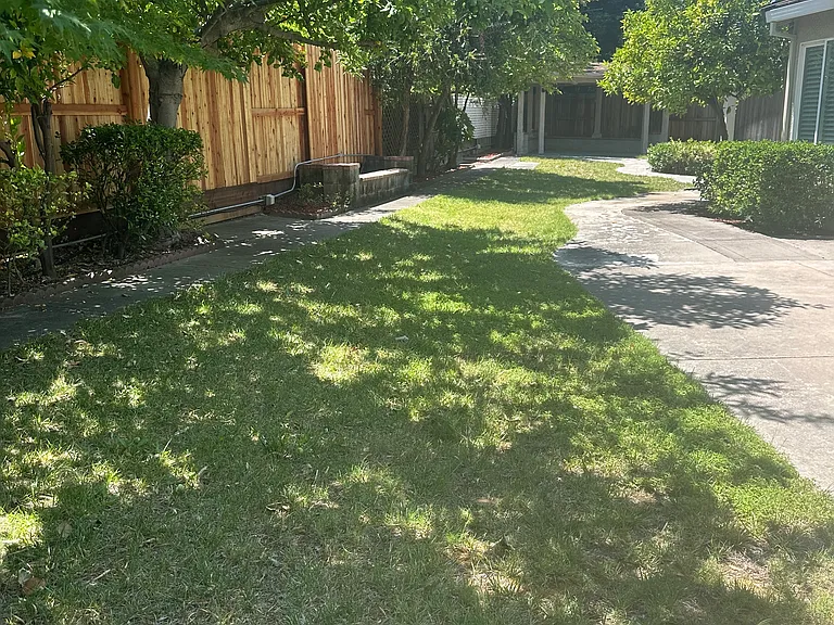 70 Jade Tree Cir — Photo 34