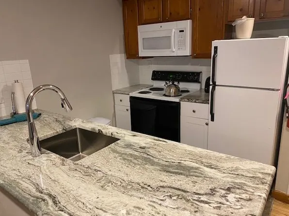 203 Rimfire Ldg, Snowshoe, WV 26209