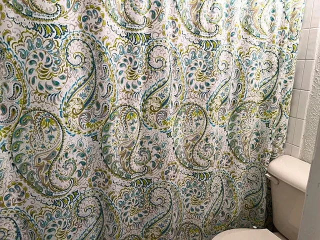202 Yturria St #7 — Photo 6