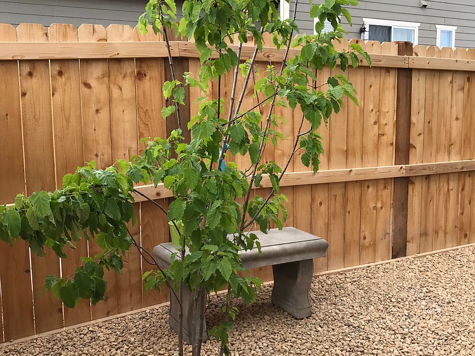 2nd image of 2369 W 165th Ln