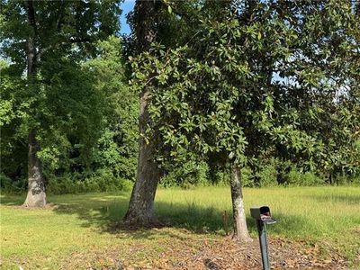 32882 Lower Rome Rd, Springfield, LA, 70462