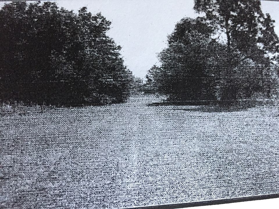 2nd image of 8176 W Previti Ln