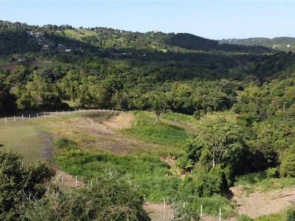 Sector Las Flores Carr 867 Bocarruzo, Carolina, PR 00987