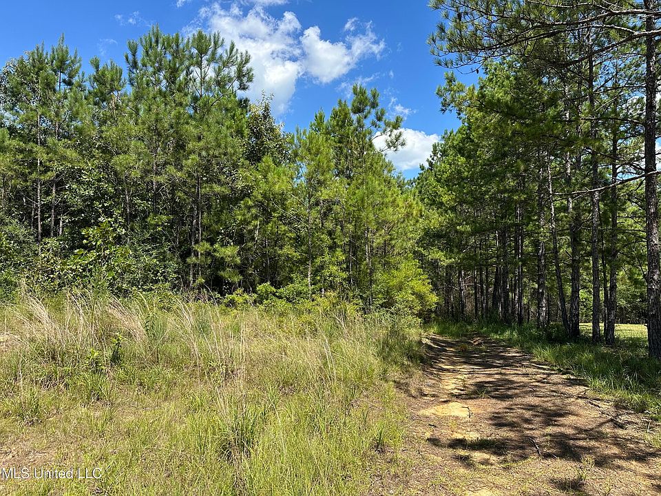 2nd image of State Highway 43