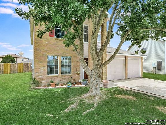 2nd image of 120 Cypress Willow