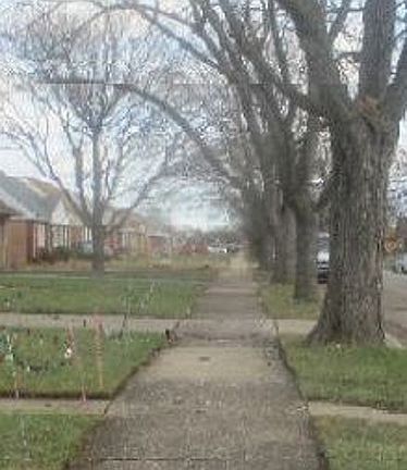 Exterior Neighborhood (street photo)