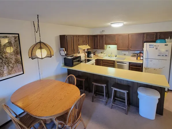 863 Straight Creek Drive UNIT 103, Dillon, CO 80435