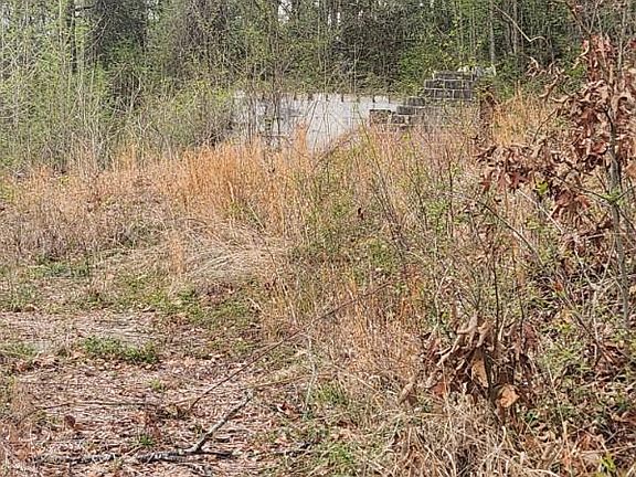3rd image of 42209 Ridge Rd