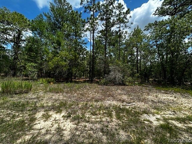 1st image of 4490 W Malaluka Cir