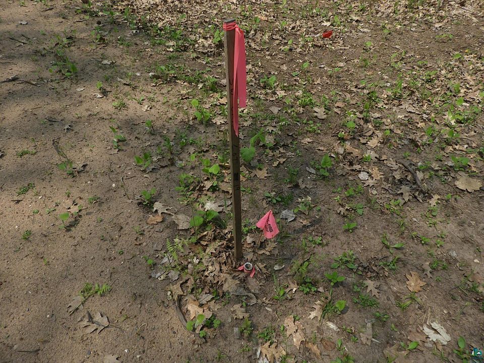 2nd image of 672XX E Deep Lake Rd