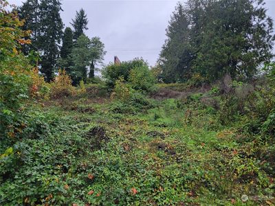 1927 Spring Road, Shelton, WA, 98584
