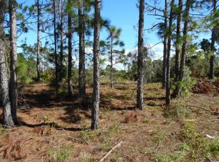 342 Jack Weisser Blvd, Lake Placid, FL 33852