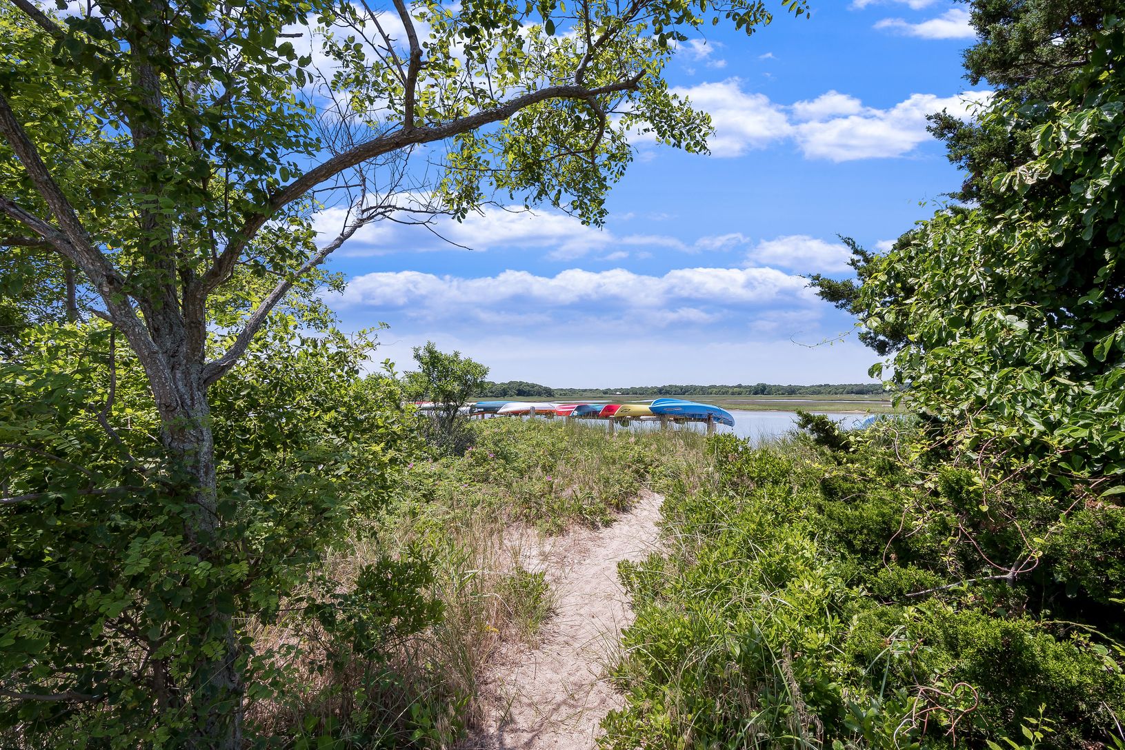  Beach Path Moments Away