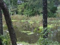 2nd image of 7627 N Deer Haven Rd