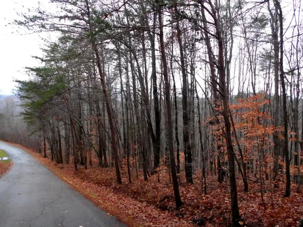 Pine Hollow Rd, Jacksboro, TN 37757