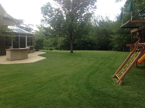 back yard