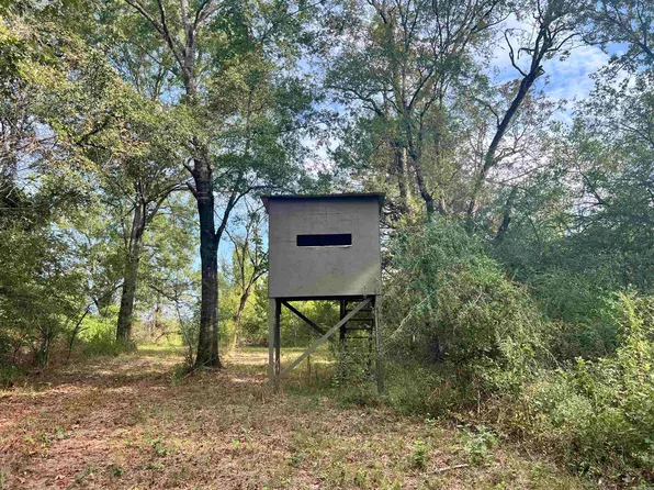 (undisclosed Address), Pickens, MS 39146
