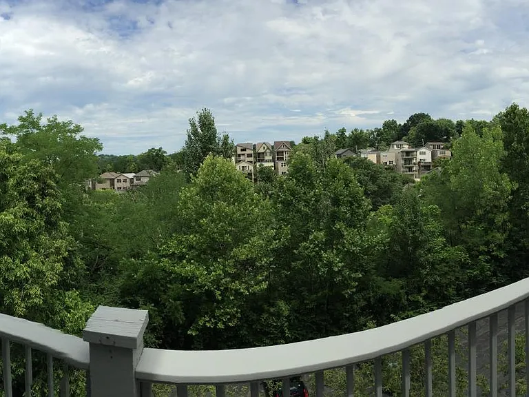 View from the Deck