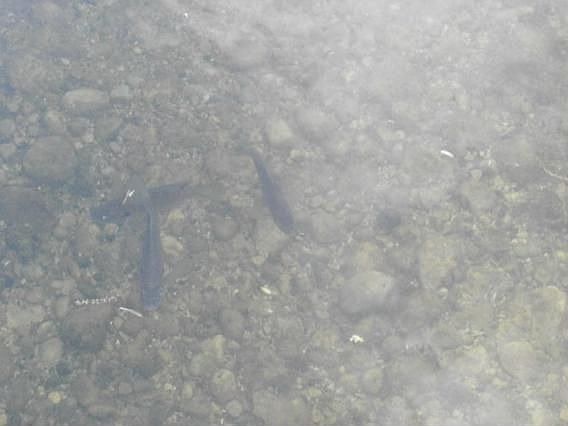 3rd image of W347N6106 Road I