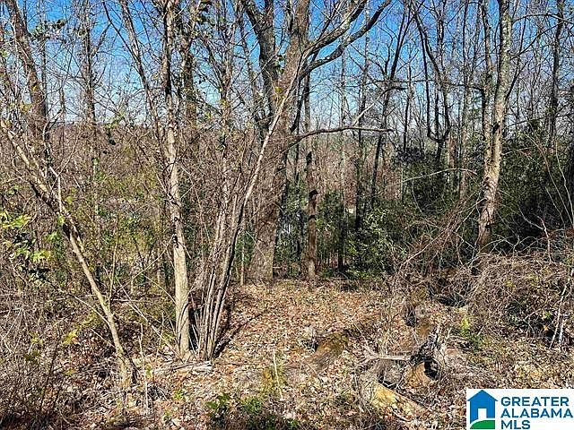2nd image of 3996 S Shades Crest Rd #1