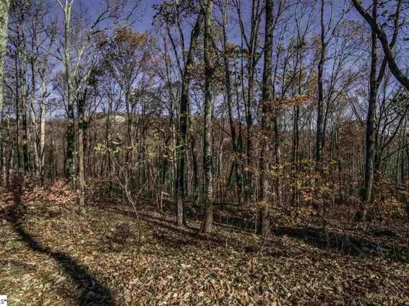 16 Windswept Ln, Travelers Rest, SC 29690