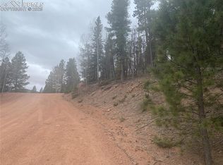 243 Andes Rd, Cripple Creek, CO 80813