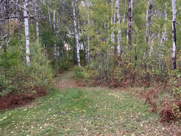 420 Street, McGregor, MN 55760