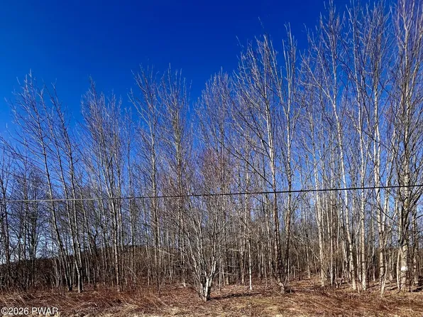0 Belmont Tpke, Union Dale, PA 18470
