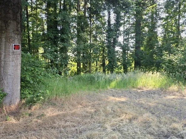 Tl2500 Grape St, Sweet Home, OR 97386