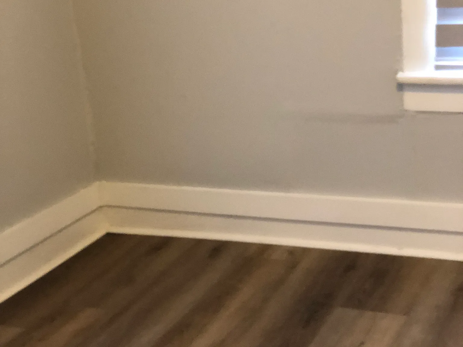 2 bed, 800 sqft, $1,675 — Photo 3