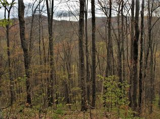 197 Wildwood Ln, Whittier, NC 28789