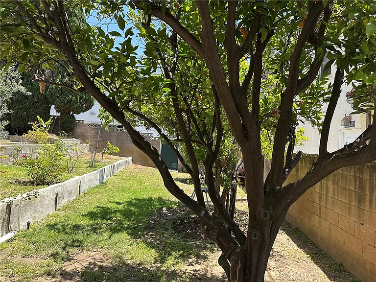 10338 Eastborne Ave — Photo 6