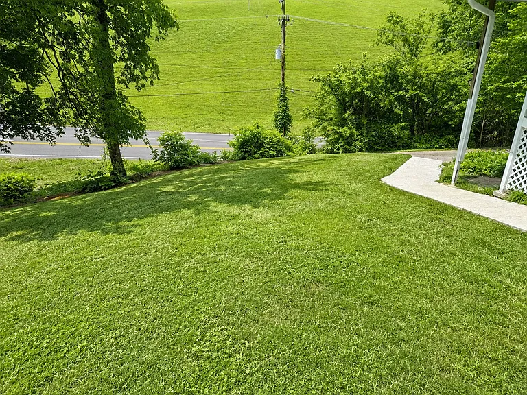 856 Lake City Hwy — Photo 4